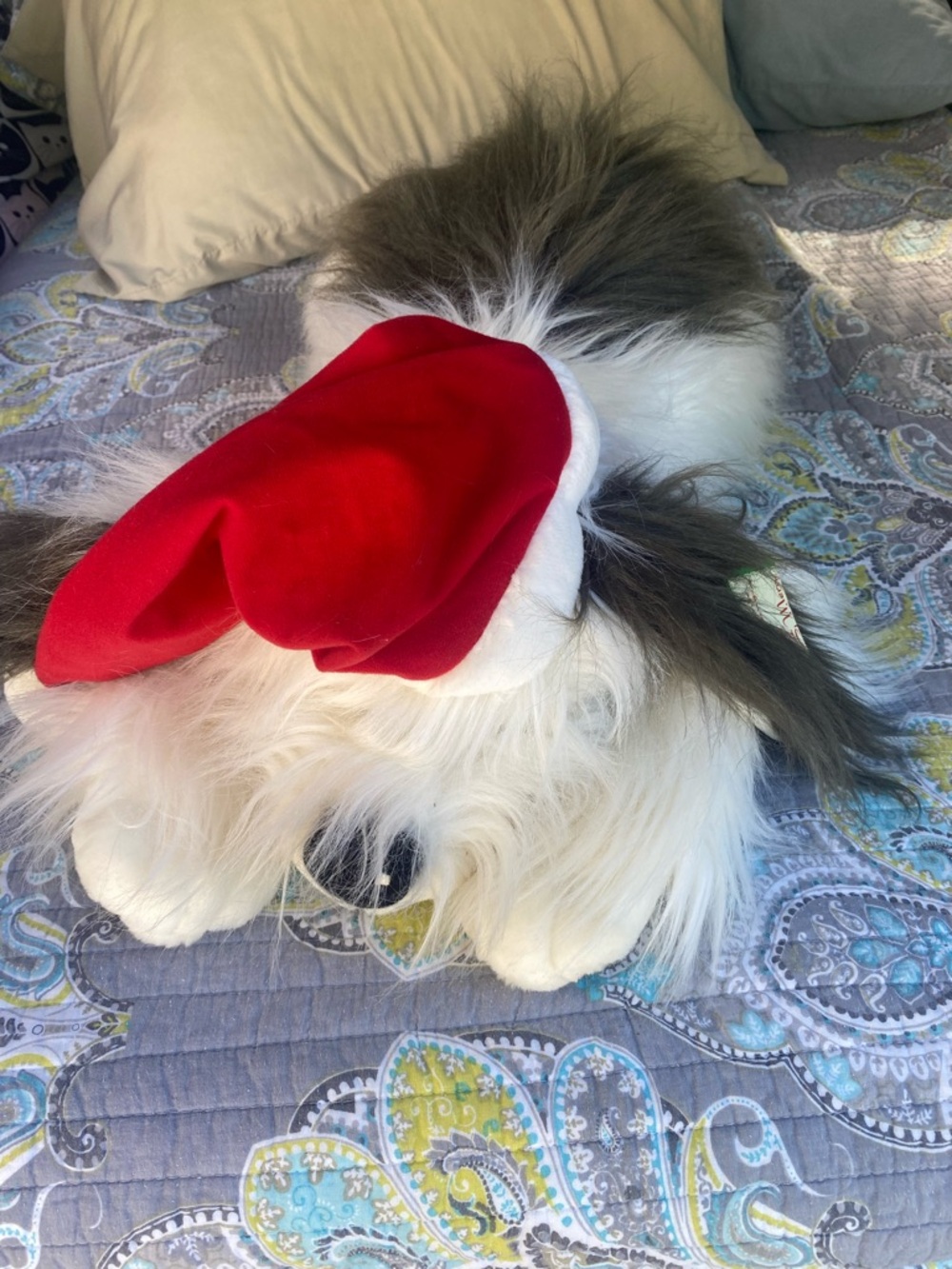 Vintage sheep dog